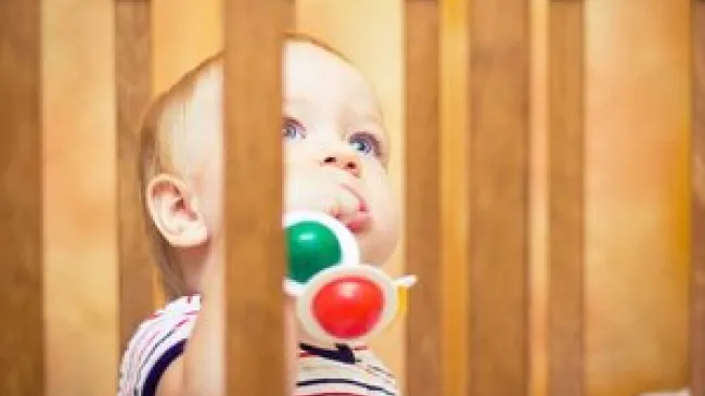 Economists for the Nanny State